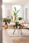 vibes fold rond 25cm blanc soie